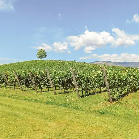 Villacolli Ferienhaus Valnogaredo